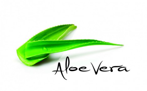 COLLANT MICROFIBRA 3D 40 DEN CS 0824 DZ. DARA