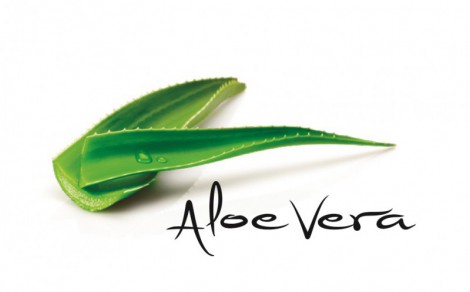COLLANT LYCRA SEDA COM ALOE VERA CL 0530 UN. DARA